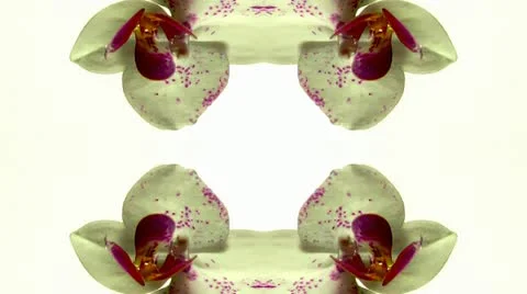 Liquid Fluids 12 Stock Footage 11241666