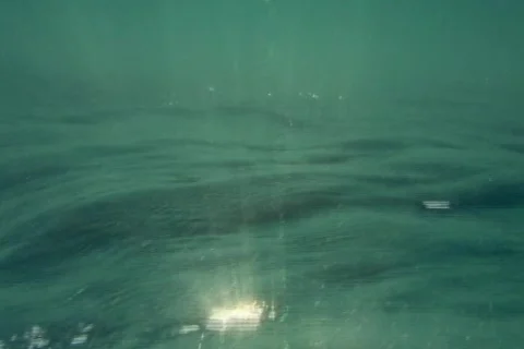 Liquid Video stock 344500