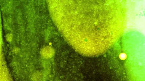 LIQUID GOLD (16) Stock Footage 170632335