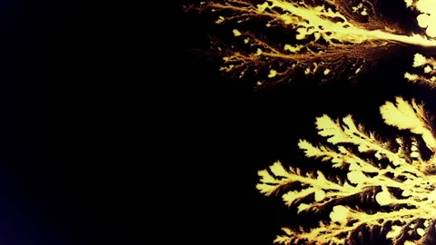 LIQUID GOLD (4) Stock Footage 170631684