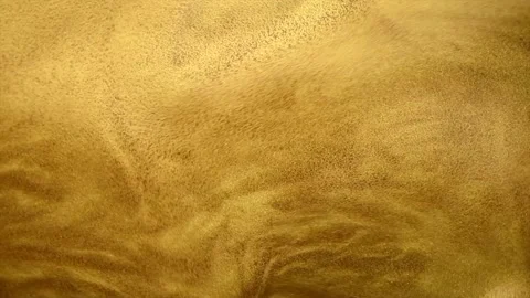Liquid gold abstract background. Flowing Golden abstract backdrop Stock Footage 228831364