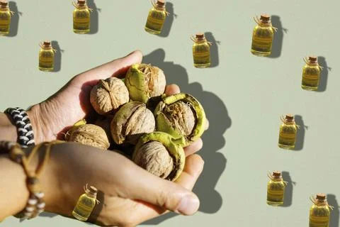 Liquid Gold: Dynamic Levitation Pattern of Walnut Oil Bottles and Farmer Hand Stock Photos