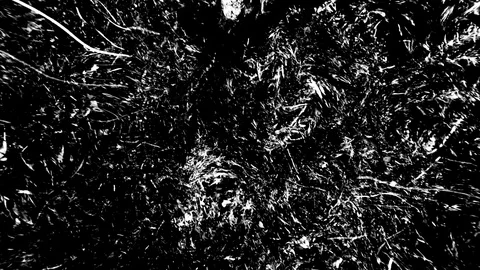 Liquid Grass Animated Texture Seamless Loop Stock Footage 127637174