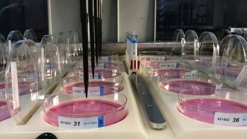 Liquid handling instrument at work Stock Footage 77607346