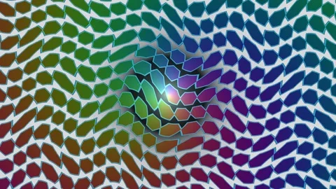 Liquid Hexagonal Pattern Background Seamless Loop Stock Footage 341708519