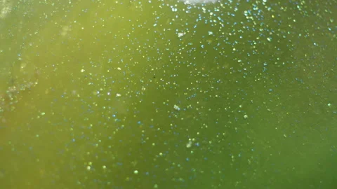 Liquid Labyrinth: Abstract Water and Oil Maze Video stock 252852370