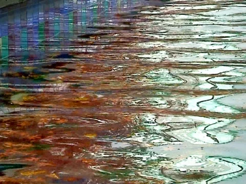 Liquid Leaves Stock Footage 490363