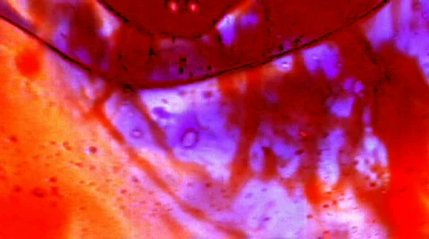 Liquid Light 003f 720 Stock Footage 589377