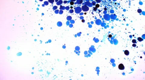 Liquid Light HD MVI 1397 1 h264 Stock Footage