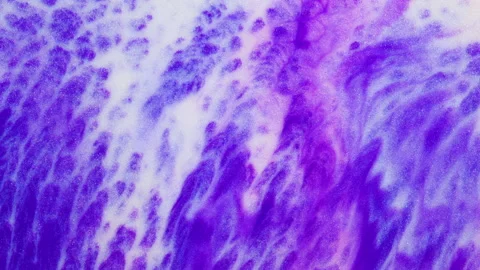 Liquid Lilac Purple Abstract Background Stock Footage 206569621