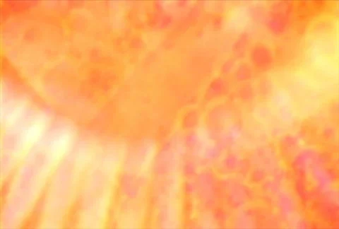 Liquid Lite 23 Stockbeeldmateriaal 112505