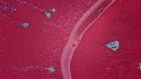Liquid Magenta Shine Stock Footage 98094415