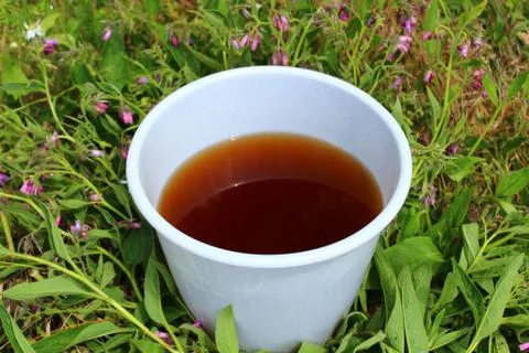 Liquid manure from comfrey in a comfrey field Stock Photos