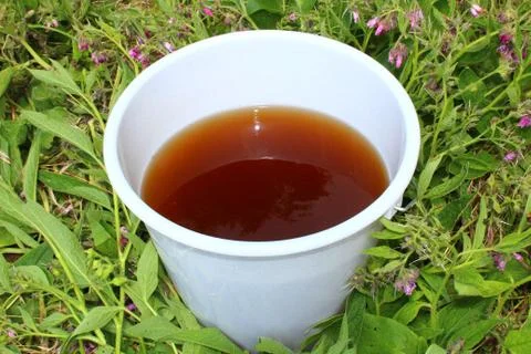 Liquid manure from comfrey in a comfrey field Stock Photos