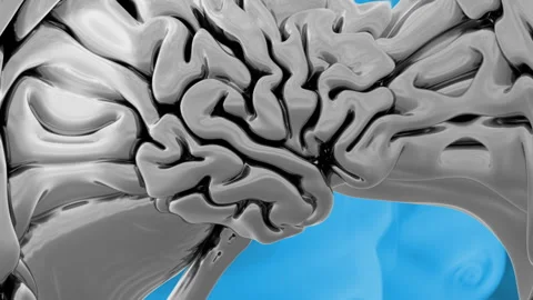 Liquid Metal Brain Seamless Loop - Artificial Intelligence AI - VJ Loopable Stock Footage 292436175