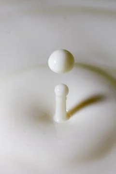 Liquid milk drop falling Foto stock