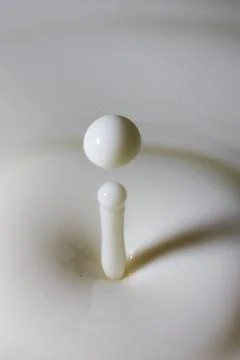 Liquid milk drop falling 스톡 사진