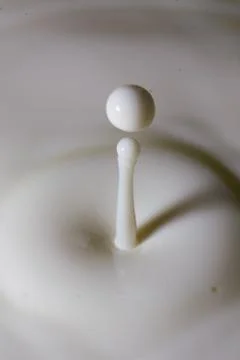 Liquid milk drop falling Stock-Fotos