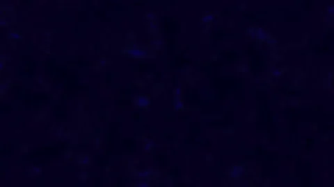 Liquid Moving background Stock Footage 147532865