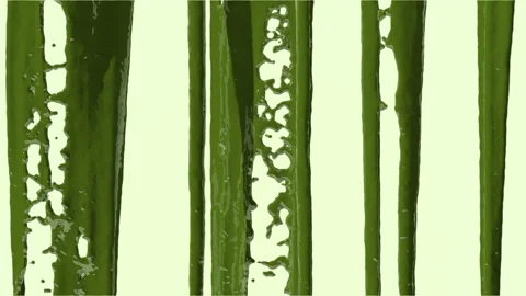 The liquid paint is dirty green in an irregular trickle from top to bottom. Video stock 238802443