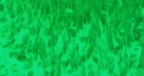 Liquid paint mixing artwork with splash and swirl Stock Footage 153295161