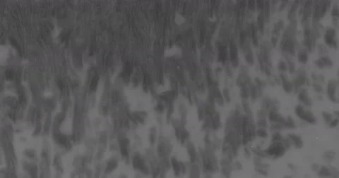 Liquid paint mixing artwork with splash and swirl Stock Footage 153953916
