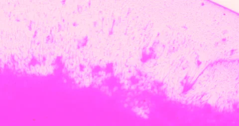 Liquid paint mixing artwork with splash and swirl Stock-Footage 155079307