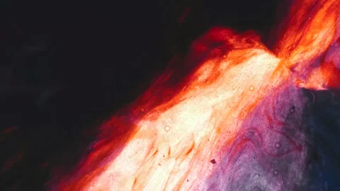 Liquid Paint in Motion Stock Footage 148154613