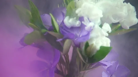 Liquid Paints Spreading On Flower Stock Footage 94330171