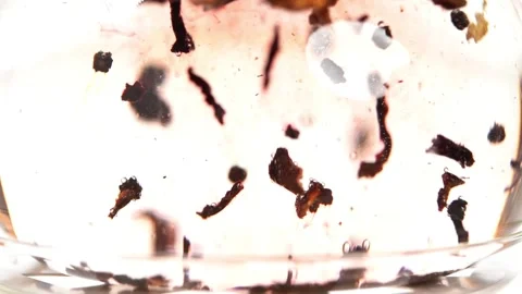 Liquid Particles in Motion Stock Footage 318303985