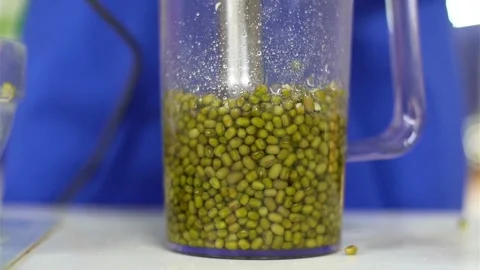 Liquid poured over mung beans in blender Video stock 333873282