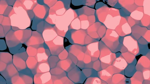 Liquid Red Motion Wavy Gradient Fluids Abstract Background Stock Footage 128985783