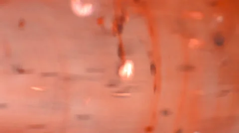 Liquid red stuff is flowing Stock Footage 59108870