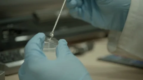 Liquid sample put on watch glass in laboratory Video stock 65008554