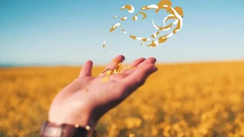 Liquid Shape Titles | After Effects After Effects stock