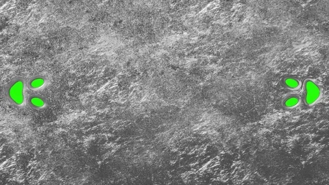 Liquid silver dissolving or appearing if reversed on chroma key blue screen new Stock-Footage 79784321