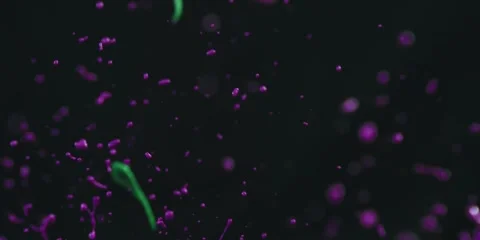 Liquid Splash Abstract Background Loop Stock Footage 322094802