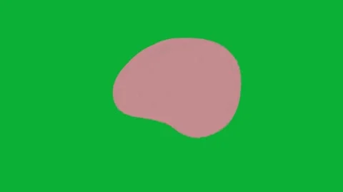 Liquid splash handdrawn transition effect | Green screen animation	 Video stock 316259385