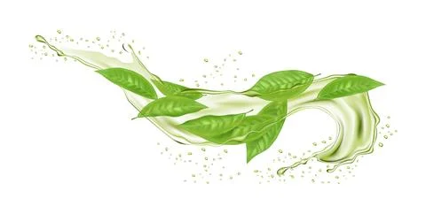 Liquid splashes in motion and swirl water drops with green leaves. Realisti.. Stock Illustration