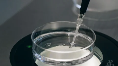 Liquid substance in a glass plate of a microscope Video stock 120799511