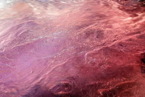 Liquid surface Stock Photos