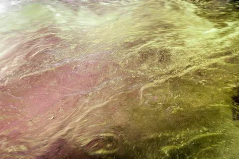 Liquid surface Stock Photos