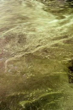 Liquid surface Stock Photos