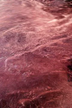 Liquid surface Stock Photos