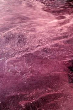 Liquid surface Stock Photos