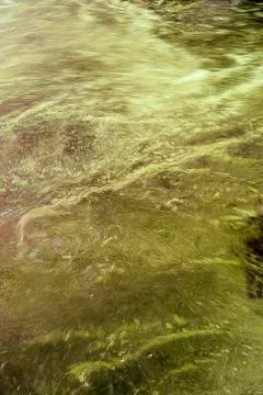 Liquid surface Stock Photos