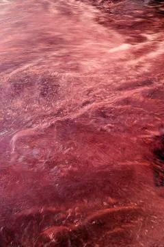 Liquid surface Stock Photos