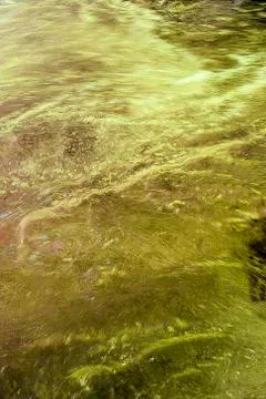 Liquid surface Stock Photos