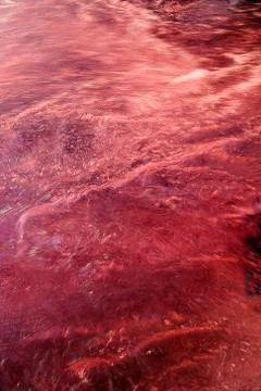 Liquid surface Stock Photos