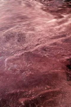 Liquid surface Stock Photos